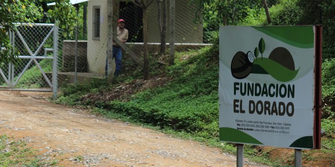 Representantes de diferentes organizaciones ambientalistas advierten que la minería transnacional aún es una amenaza para el país.
