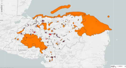 informe "Territorios en riesgo II"