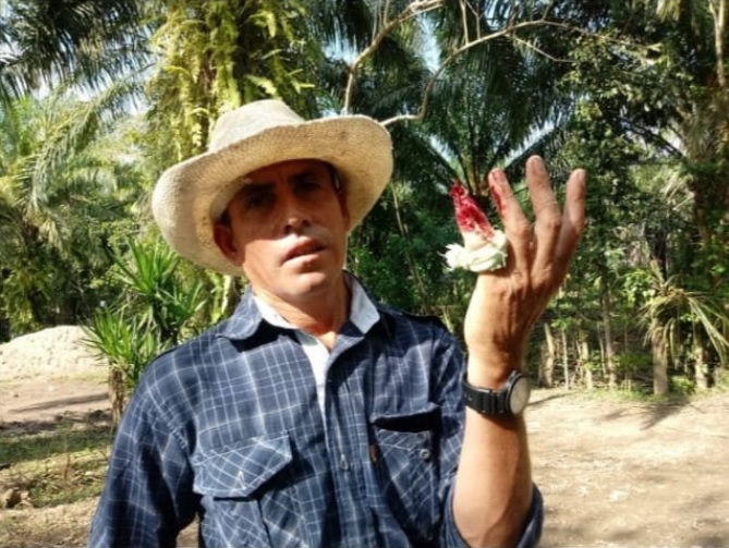 Foto de Diario Colón Honduras